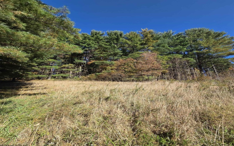 TBD Route 219 (RR), Kerens, West Virginia 26276, 0 , 0 ,0,Lots/land,For Sale,Route 219,0,10167525 TBD Route 219 (RR), Kerens, West Virginia 26276, 0 , 0 ,0,Lots/land,For Sale,Route 219,0,10167525