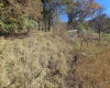 TBD Route 219 (RR), Kerens, West Virginia 26276, 0 , 0 ,0,Lots/land,For Sale,Route 219,0,10167525 TBD Route 219 (RR), Kerens, West Virginia 26276, 0 , 0 ,0,Lots/land,For Sale,Route 219,0,10167525