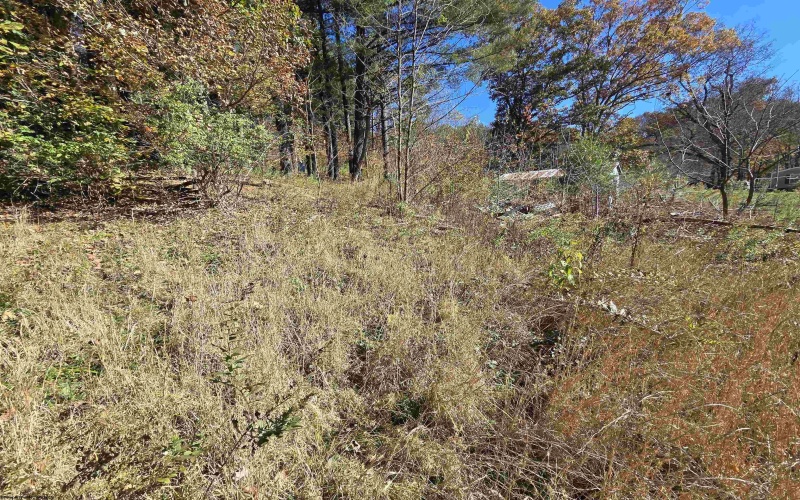 TBD Route 219 (RR), Kerens, West Virginia 26276, 0 , 0 ,0,Lots/land,For Sale,Route 219,0,10167525 TBD Route 219 (RR), Kerens, West Virginia 26276, 0 , 0 ,0,Lots/land,For Sale,Route 219,0,10167525
