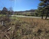 TBD Route 219 (RR), Kerens, West Virginia 26276, 0 , 0 ,0,Lots/land,For Sale,Route 219,0,10167525 TBD Route 219 (RR), Kerens, West Virginia 26276, 0 , 0 ,0,Lots/land,For Sale,Route 219,0,10167525
