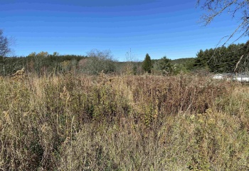 346 Fairfax Avenue, Davis, West Virginia 26260, 0 , 0 ,0,Lots/land,For Sale,Fairfax,0,10167536