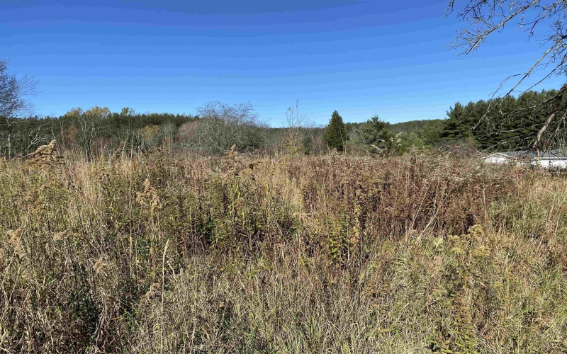 346 Fairfax Avenue, Davis, West Virginia 26260, 0 , 0 ,0,Lots/land,For Sale,Fairfax,0,10167536