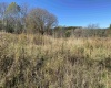 346 Fairfax Avenue, Davis, West Virginia 26260, 0 , 0 ,0,Lots/land,For Sale,Fairfax,0,10167536