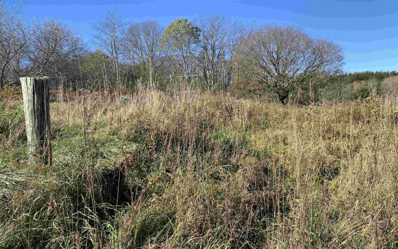 346 Fairfax Avenue, Davis, West Virginia 26260, 0 , 0 ,0,Lots/land,For Sale,Fairfax,0,10167536