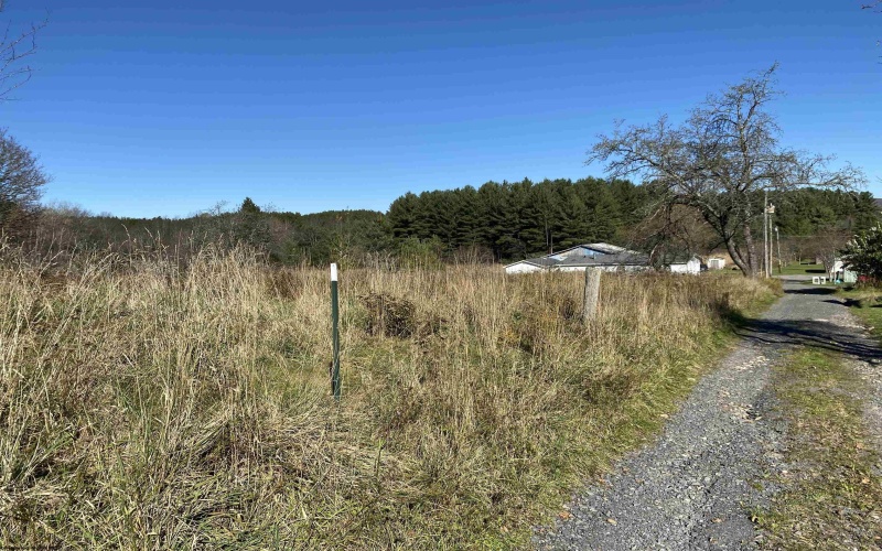 346 Fairfax Avenue, Davis, West Virginia 26260, 0 , 0 ,0,Lots/land,For Sale,Fairfax,0,10167536