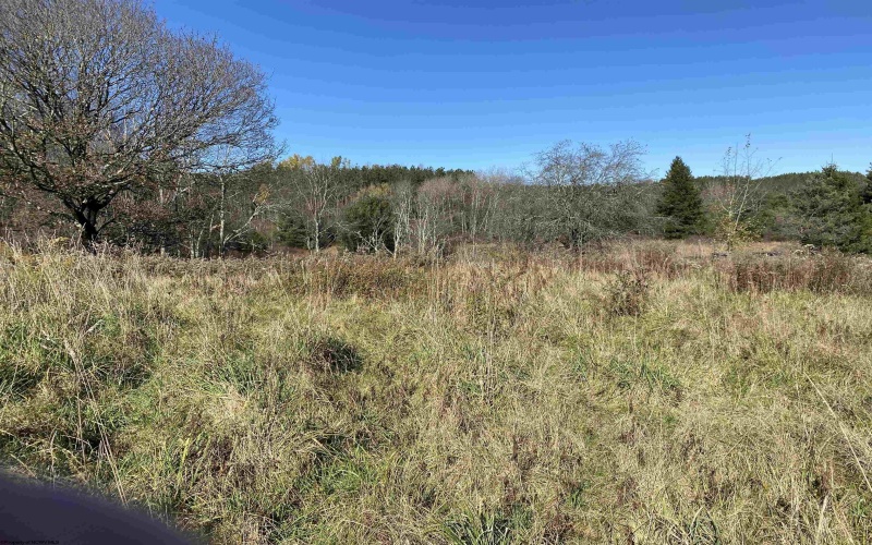346 Fairfax Avenue, Davis, West Virginia 26260, 0 , 0 ,0,Lots/land,For Sale,Fairfax,0,10167536