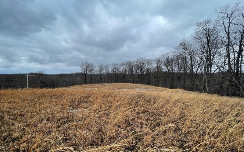 Upper Childers Run, Buckhannon, West Virginia 26201, ,Lots/land,For Sale,Upper Childers,10147447