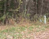 Lot 3 Elm Crest Court, Morgantown, West Virginia 26508, ,Lots/land,For Sale,Elm Crest,10059232