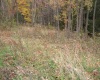 Lot 3 Elm Crest Court, Morgantown, West Virginia 26508, ,Lots/land,For Sale,Elm Crest,10059232