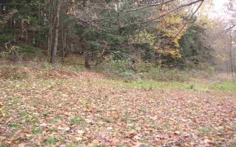 Lot 3 Elm Crest Court, Morgantown, West Virginia 26508, ,Lots/land,For Sale,Elm Crest,10059232