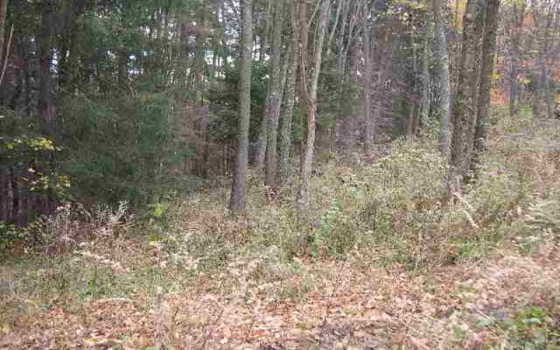 Lot 3 Elm Crest Court, Morgantown, West Virginia 26508, ,Lots/land,For Sale,Elm Crest,10059232