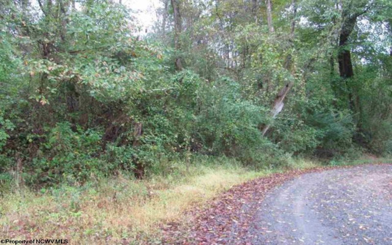 00 Rosedale Hill Road, Morgantown, West Virginia 26541, ,Lots/land,For Sale,Rosedale Hill,10147575