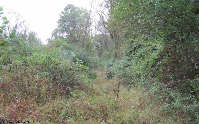 00 Rosedale Hill Road, Morgantown, West Virginia 26541, ,Lots/land,For Sale,Rosedale Hill,10147575