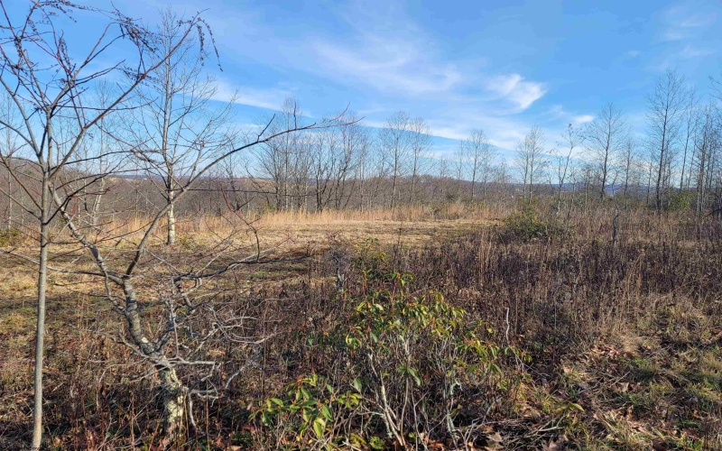 LOT 8 Sand Bank Road, Masontown, West Virginia 26542, ,Lots/land,For Sale,Sand Bank,10147622