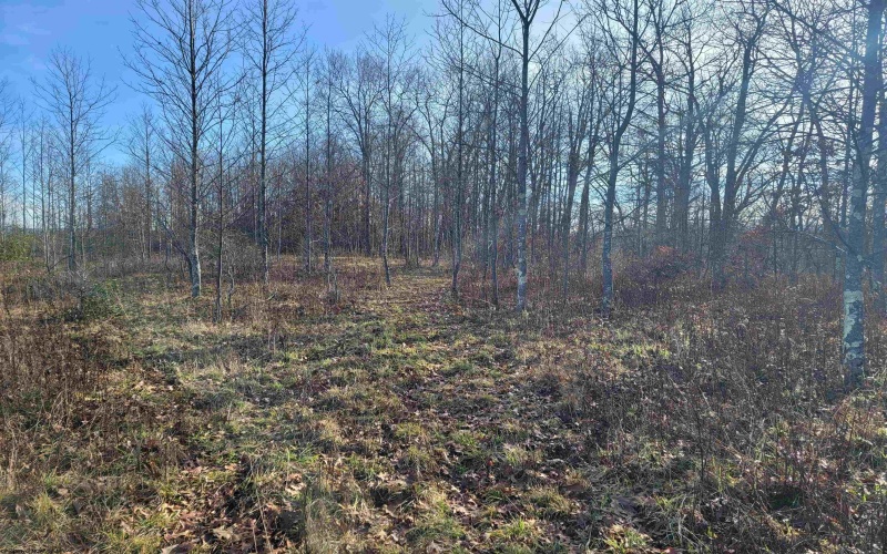 LOT 8 Sand Bank Road, Masontown, West Virginia 26542, ,Lots/land,For Sale,Sand Bank,10147622