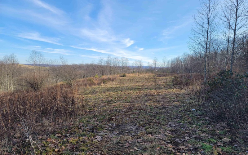 LOT 8 Sand Bank Road, Masontown, West Virginia 26542, ,Lots/land,For Sale,Sand Bank,10147622