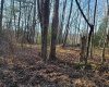 LOT 8 Sand Bank Road, Masontown, West Virginia 26542, ,Lots/land,For Sale,Sand Bank,10147622