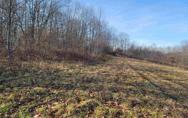 LOT 8 Sand Bank Road, Masontown, West Virginia 26542, ,Lots/land,For Sale,Sand Bank,10147622