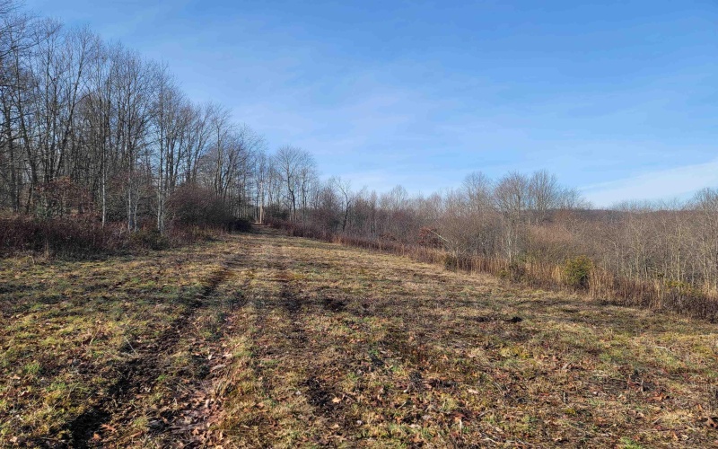 LOT 8 Sand Bank Road, Masontown, West Virginia 26542, ,Lots/land,For Sale,Sand Bank,10147622