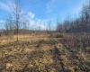 LOT 8 Sand Bank Road, Masontown, West Virginia 26542, ,Lots/land,For Sale,Sand Bank,10147622