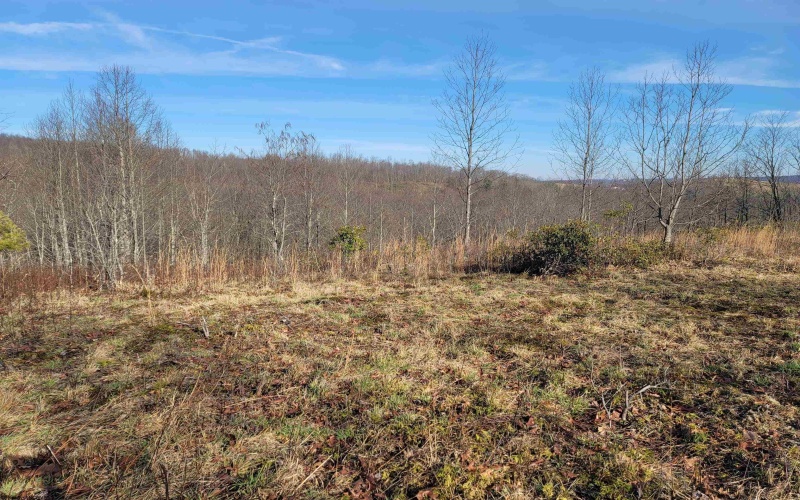 LOT 8 Sand Bank Road, Masontown, West Virginia 26542, ,Lots/land,For Sale,Sand Bank,10147622