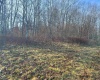 LOT 8 Sand Bank Road, Masontown, West Virginia 26542, ,Lots/land,For Sale,Sand Bank,10147622