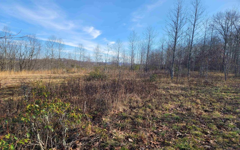 LOT 8 Sand Bank Road, Masontown, West Virginia 26542, ,Lots/land,For Sale,Sand Bank,10147622