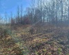 LOT 9 Sand Bank Road, Masontown, West Virginia 26542, ,Lots/land,For Sale,Sand Bank,10147623