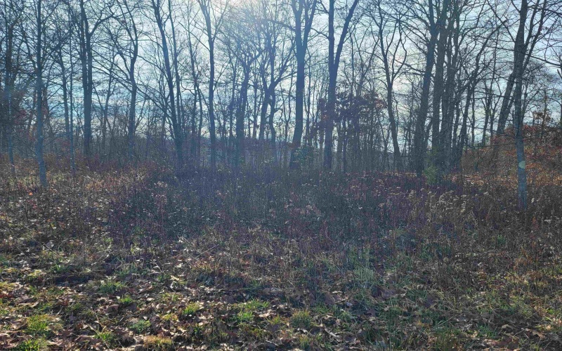 LOT 9 Sand Bank Road, Masontown, West Virginia 26542, ,Lots/land,For Sale,Sand Bank,10147623