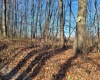 LOT 9 Sand Bank Road, Masontown, West Virginia 26542, ,Lots/land,For Sale,Sand Bank,10147623