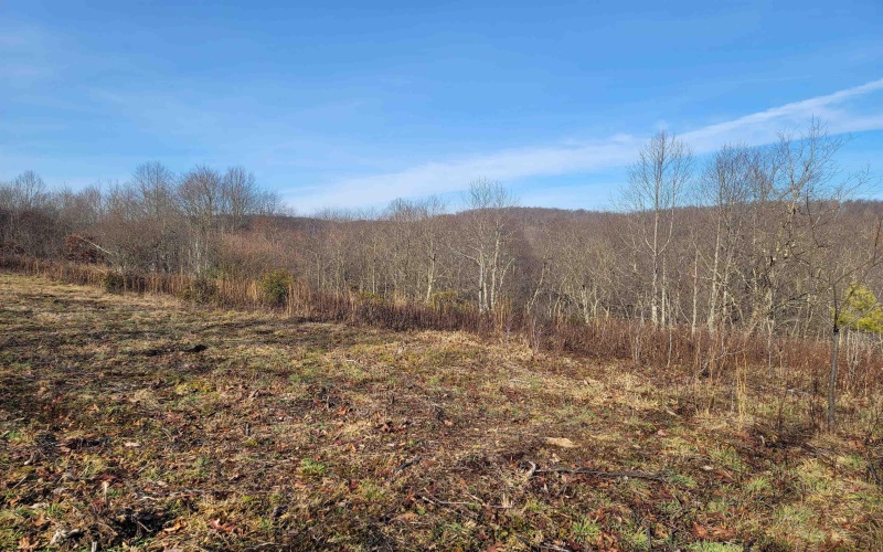 LOT 9 Sand Bank Road, Masontown, West Virginia 26542, ,Lots/land,For Sale,Sand Bank,10147623