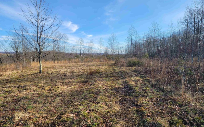 LOT 9 Sand Bank Road, Masontown, West Virginia 26542, ,Lots/land,For Sale,Sand Bank,10147623