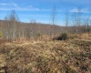 LOT 9 Sand Bank Road, Masontown, West Virginia 26542, ,Lots/land,For Sale,Sand Bank,10147623