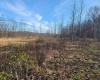 LOT 9 Sand Bank Road, Masontown, West Virginia 26542, ,Lots/land,For Sale,Sand Bank,10147623