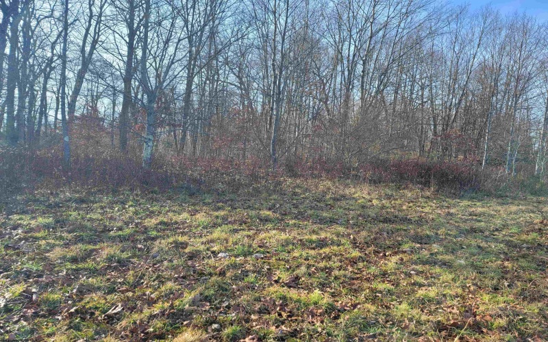 LOT 11 Sand Bank Road, Masontown, West Virginia 26542, ,Lots/land,For Sale,Sand Bank,10147625