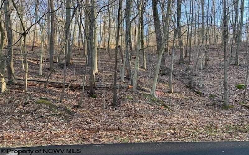 5016 Lake Lynn Drive, Morgantown, West Virginia 26508, ,Lots/land,For Sale,Lake Lynn,10147844