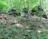 Lot 7 High Mountain Road, Harman, West Virginia 26270, ,Lots/land,For Sale,High Mountain,10099944