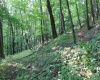 Lot 7 High Mountain Road, Harman, West Virginia 26270, ,Lots/land,For Sale,High Mountain,10099944