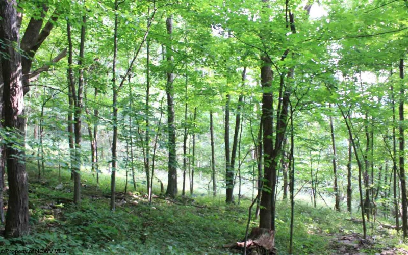 Lot 7 High Mountain Road, Harman, West Virginia 26270, ,Lots/land,For Sale,High Mountain,10099944