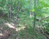 Lot 7 High Mountain Road, Harman, West Virginia 26270, ,Lots/land,For Sale,High Mountain,10099944