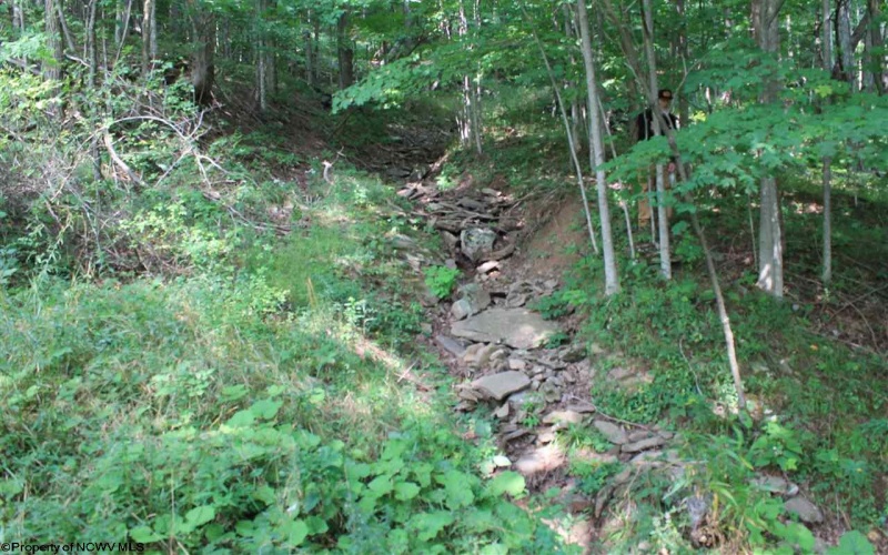 Lot 7 High Mountain Road, Harman, West Virginia 26270, ,Lots/land,For Sale,High Mountain,10099944