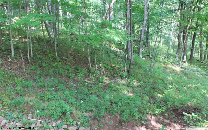 Lot 7 High Mountain Road, Harman, West Virginia 26270, ,Lots/land,For Sale,High Mountain,10099944