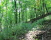 Lot 7 High Mountain Road, Harman, West Virginia 26270, ,Lots/land,For Sale,High Mountain,10099944