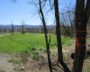 219/250 S Highway, Valley Bend, West Virginia 26280, ,Lots/land,For Sale,219/250 S,10148476