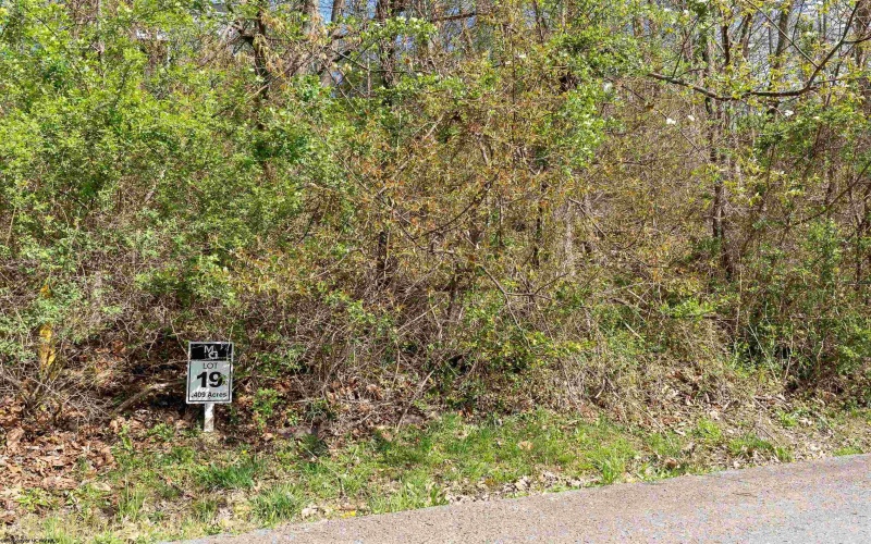 116 Iris Lane, Morgantown, West Virginia 26501, ,Lots/land,For Sale,Iris,10148599