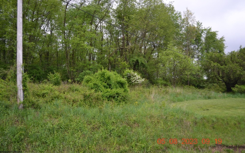 000 Lucas Dairy Road, Grafton, West Virginia 26354, ,Lots/land,For Sale,Lucas Dairy,10148917