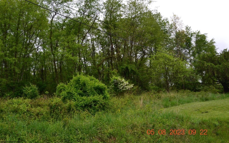 000 Lucas Dairy Road, Grafton, West Virginia 26354, ,Lots/land,For Sale,Lucas Dairy,10148917