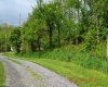 000 Lucas Dairy Road, Grafton, West Virginia 26354, ,Lots/land,For Sale,Lucas Dairy,10148917