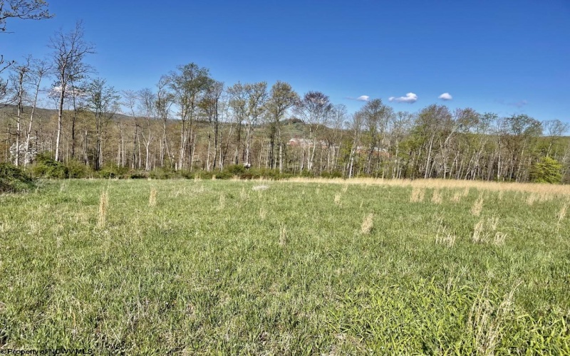 10A Memorial Drive, Bruceton Mills, West Virginia 26525, ,Lots/land,For Sale,Memorial,10148921