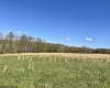 10A Memorial Drive, Bruceton Mills, West Virginia 26525, ,Lots/land,For Sale,Memorial,10148921